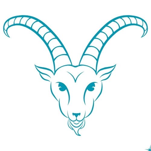 zodiac sign capricorn